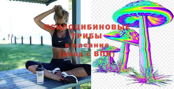 ешки Инсар