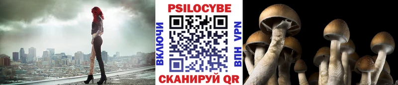 Псилоцибиновые грибы мицелий  продажа наркотиков  Ладушкин 